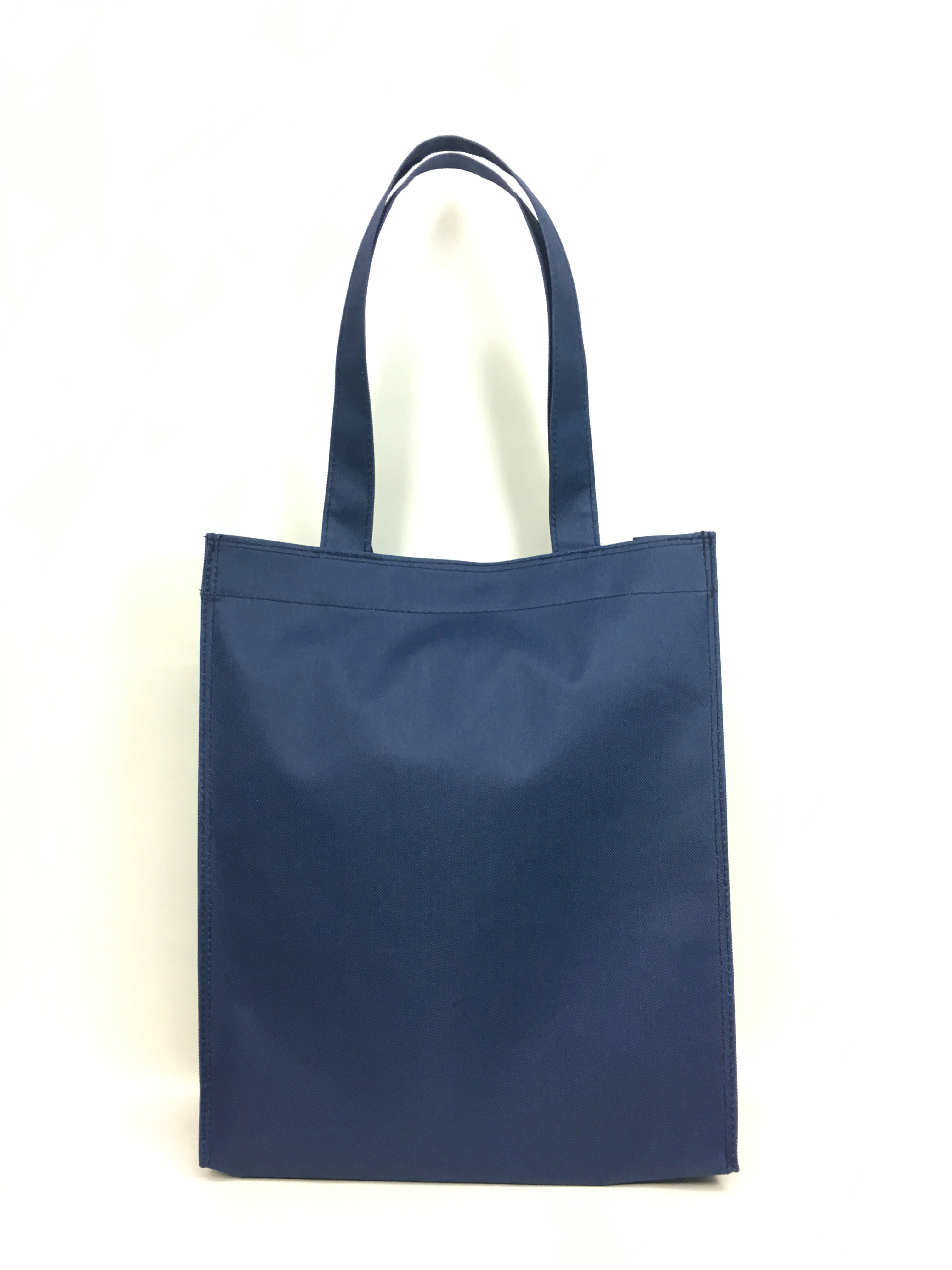 กระเป๋าเคียง