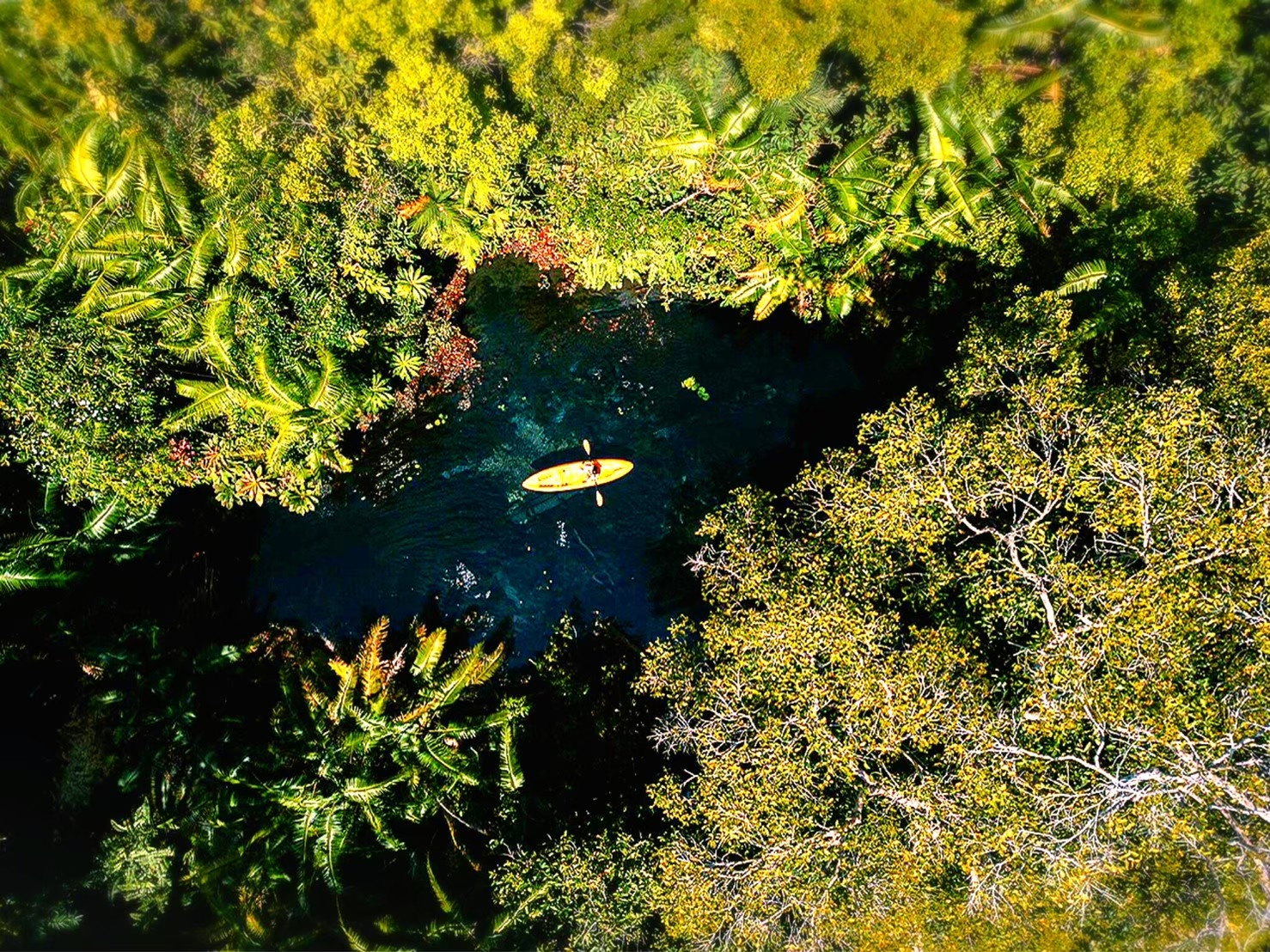 อันดับ 1 เที่ยวกระบี่ คลองหรูด คลองน้ำใส พายเรือคายัค ครึ่งวัน หนองทะเล อ่าวนาง กระบี่