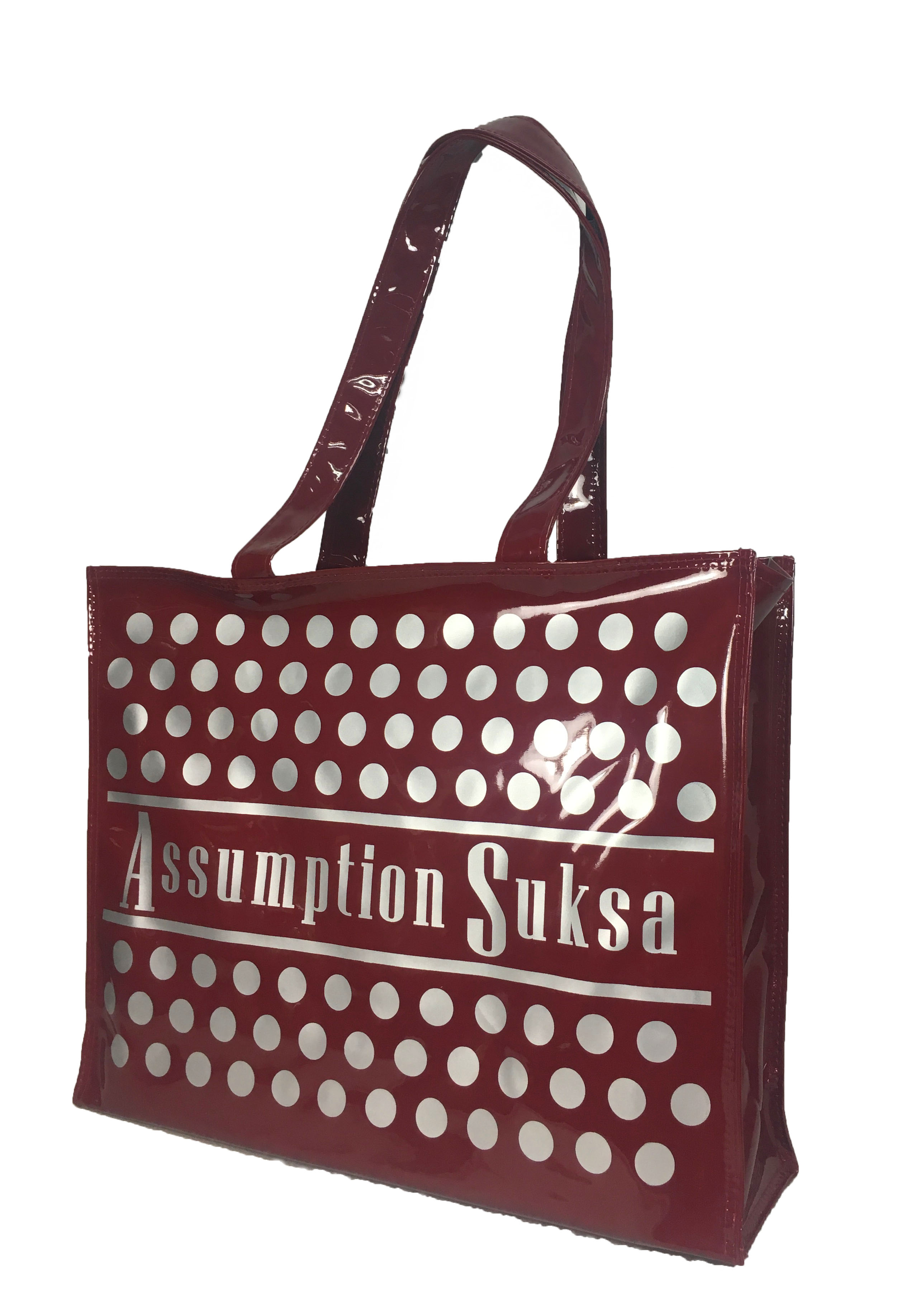 กระเป๋าเคียง