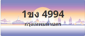 ป้ายประมูล 1ขง 4994