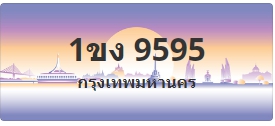 ป้ายประมูล 1ขง 9595