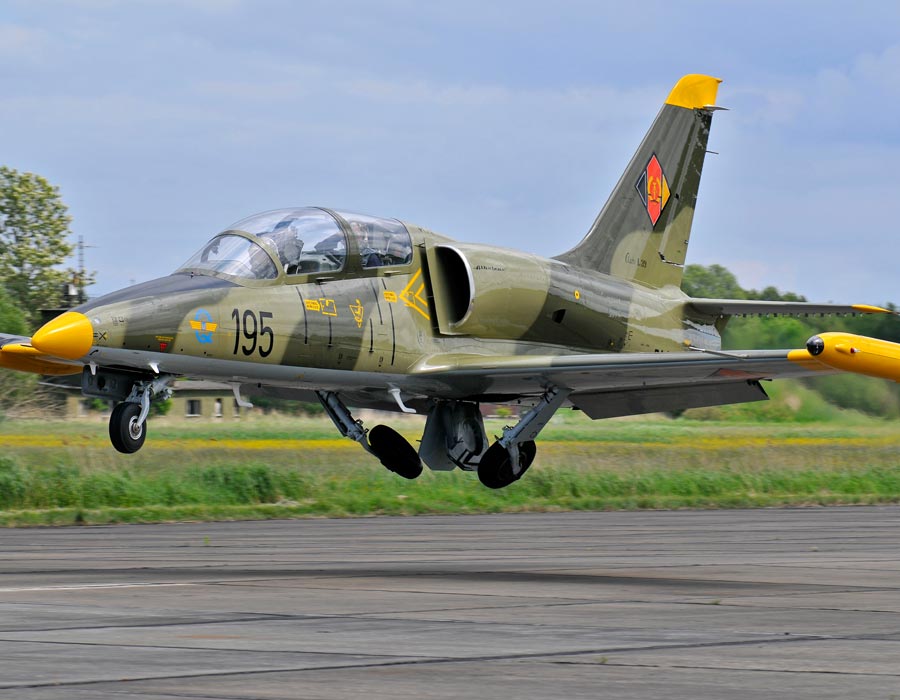 80 L-39 Albatross Freewing Camouflage Deluxe (3658-1857KV Inrunner Alu E72311)
