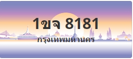 ป้ายประมูล 1ขจ 8181