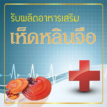 รับผลิตเห็ดหลินจือ