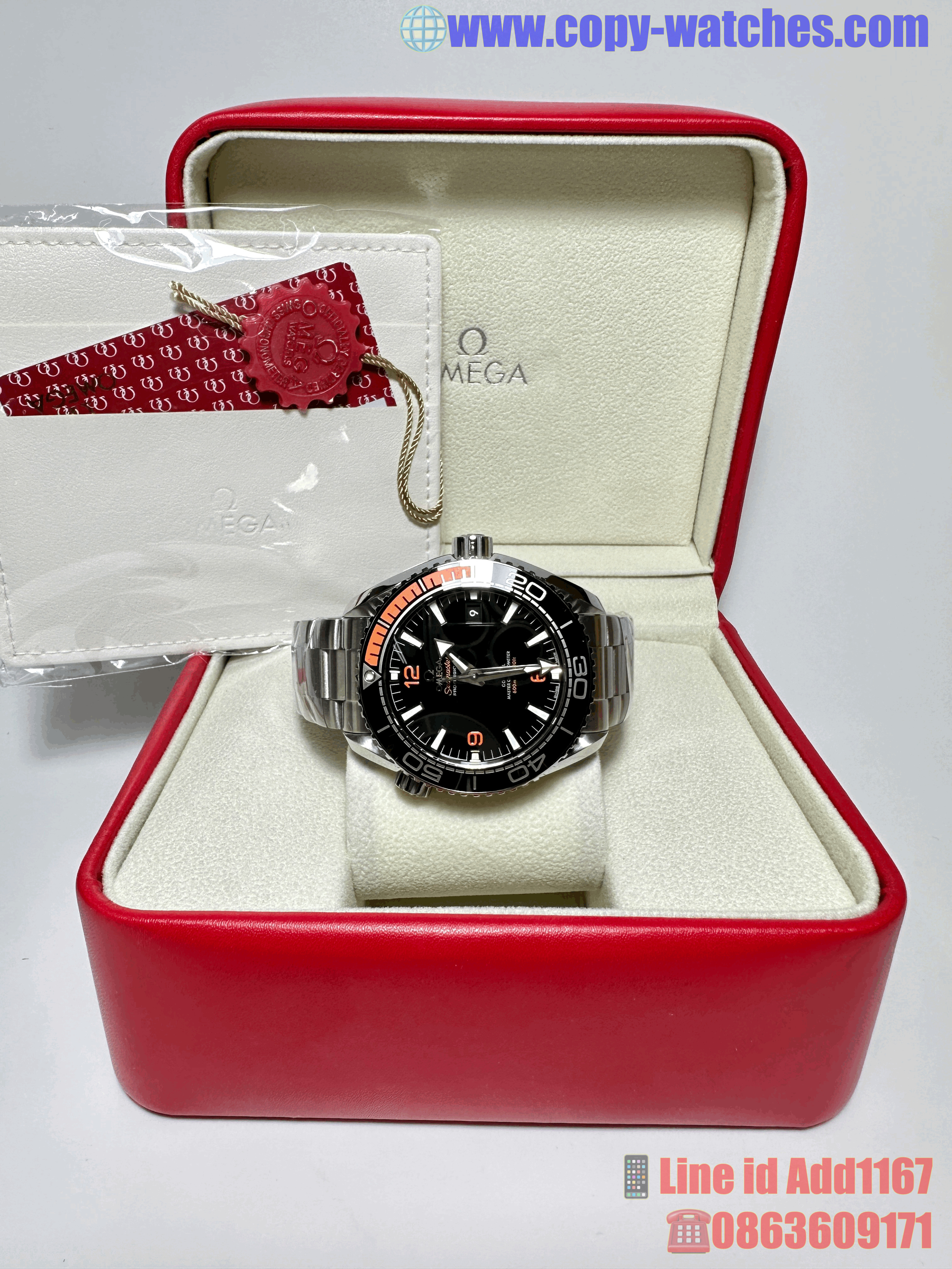Omega Planet Ocean Black 600 (Swiss VSF)