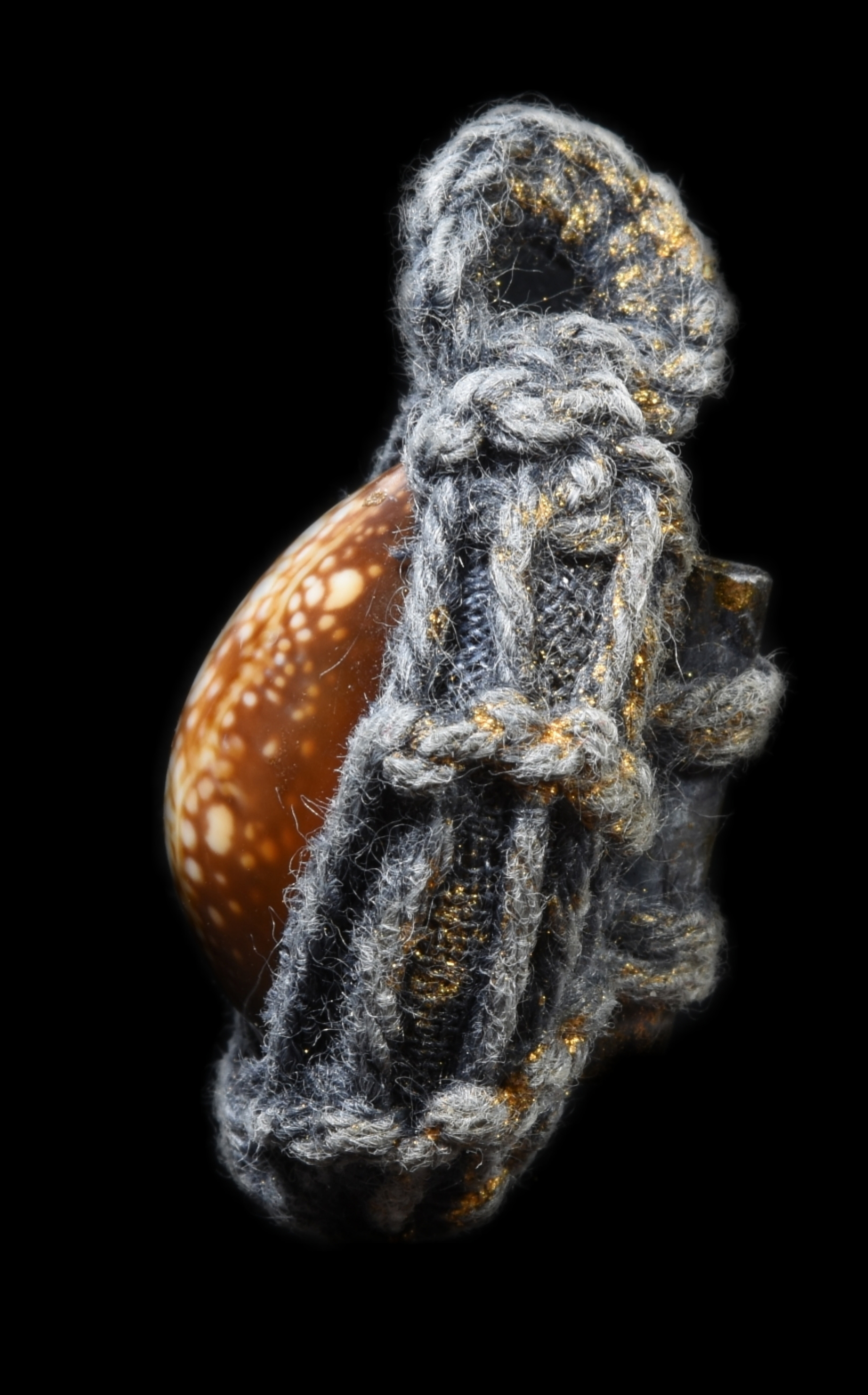 เบี้ยแก่ถักเชือก หลังตระกุด