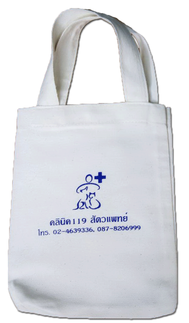 กระเป๋าถุงผ้าดิบ