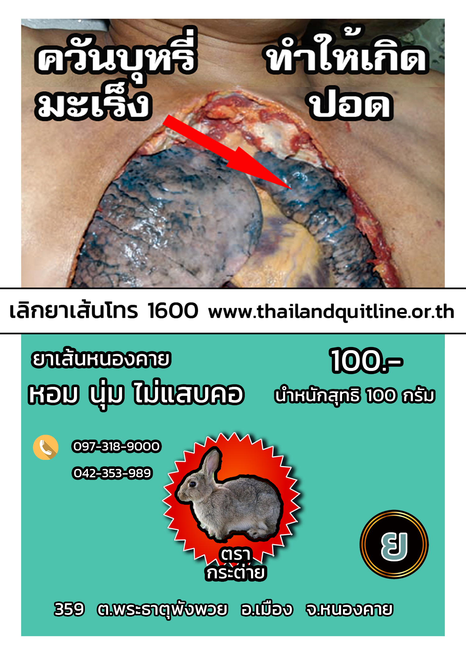 YASEN กระต่ายฟ้า เน้นใช้กับมวนเย็น ( WD )