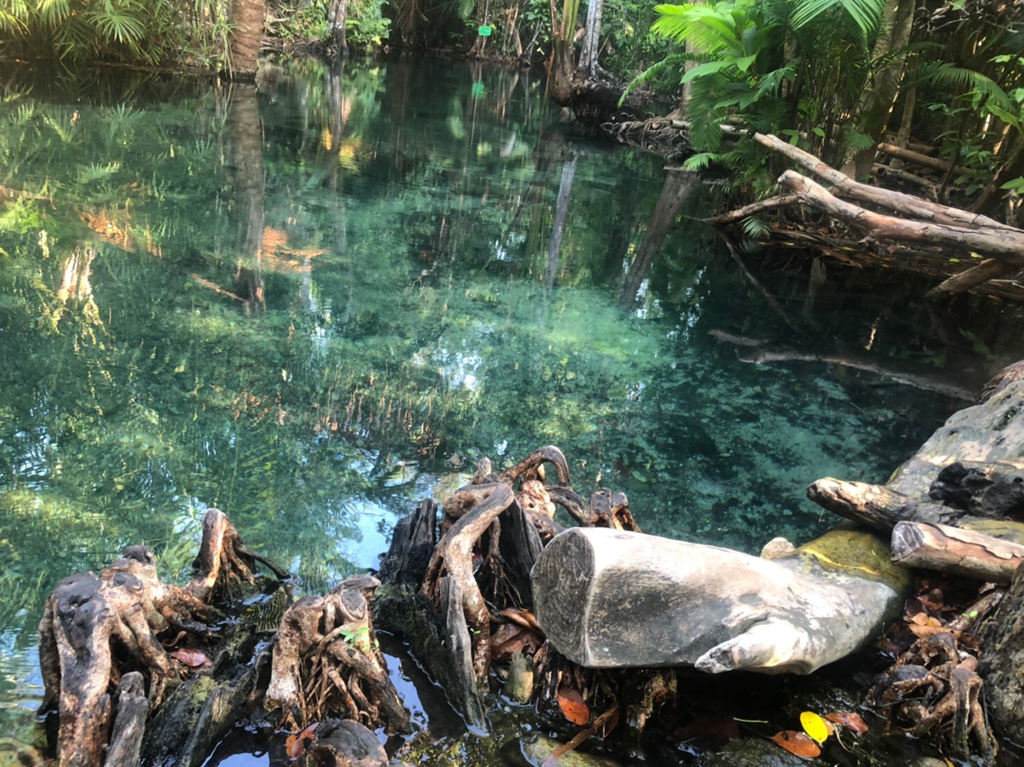 อันดับ 1 เที่ยวกระบี่ พายเรือคายัค คลองน้ำใส ขับ ATV เต็มวัน