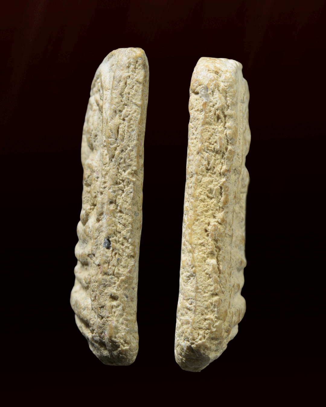 พระสมเด็จ พิมพ์ปรกโพธิ์