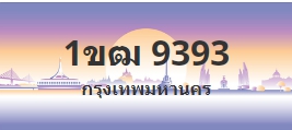 ป้ายประมูล 1ขฒ 9393
