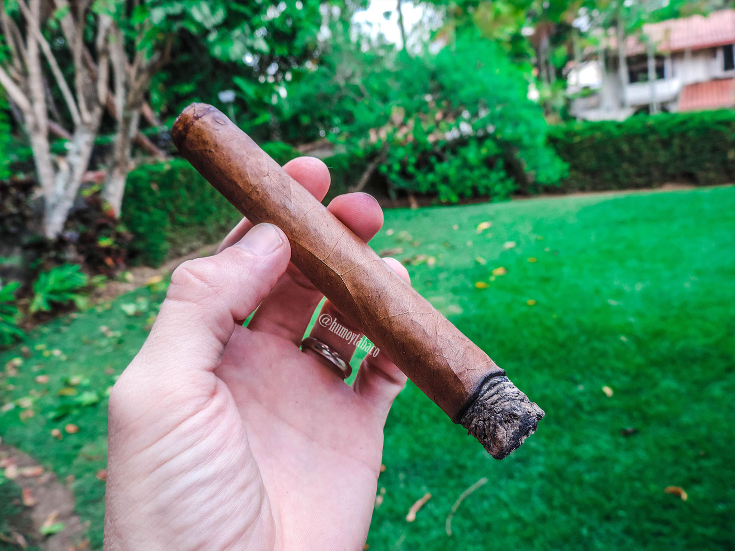 Rocky Patel Edge Corojo Fumas Toro