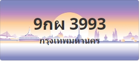 ป้ายประมูล 9กผ 3993