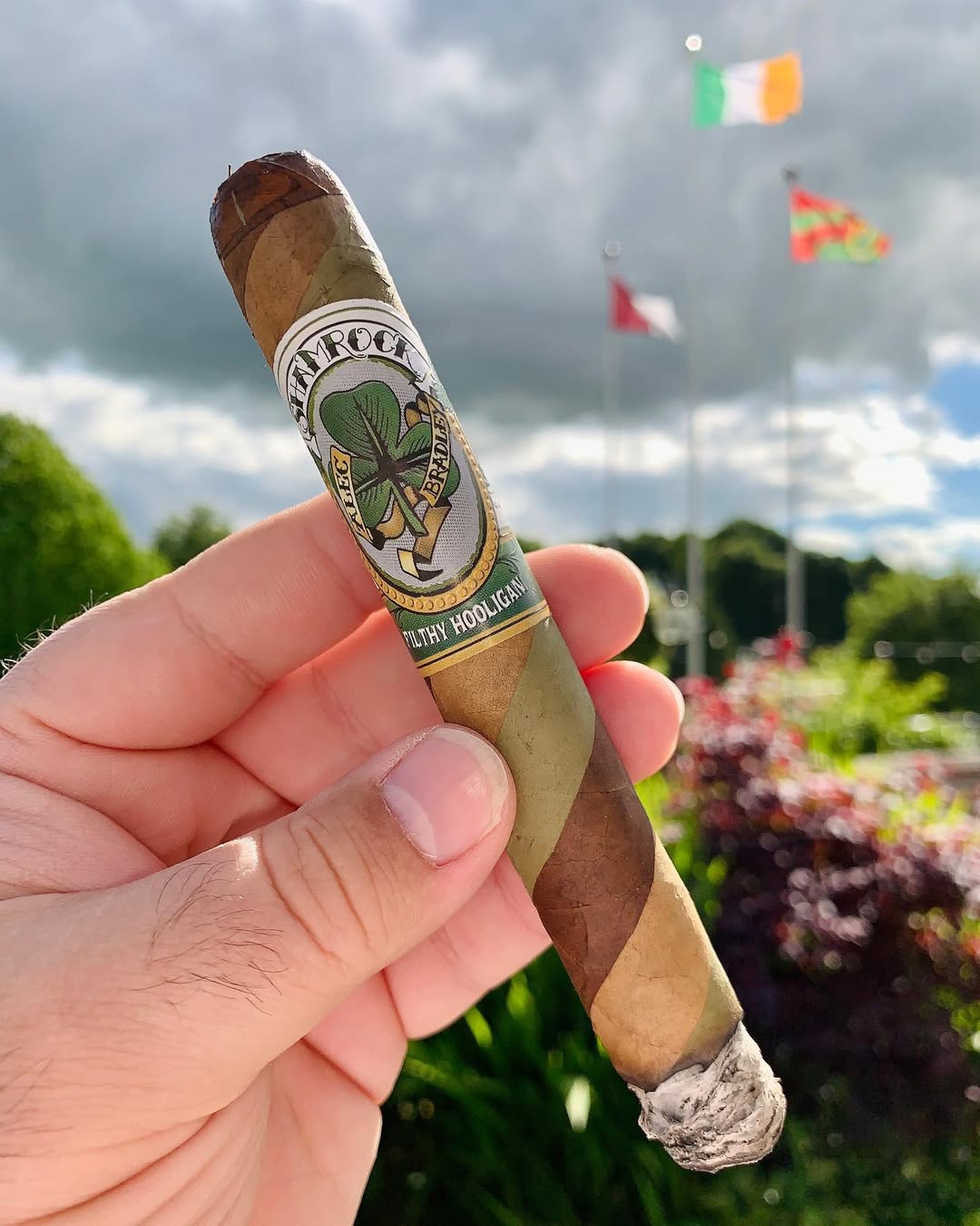 Alec Bradley Shamrock "6x50"