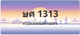 ป้ายประมูล ษศ 1313