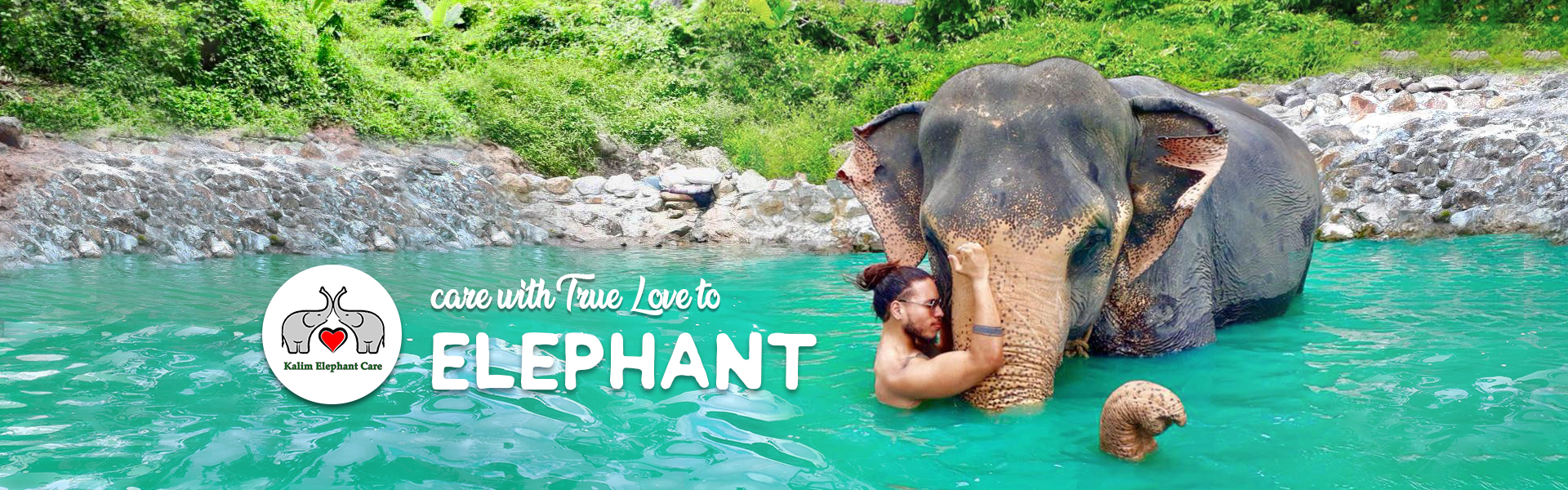Elephant Care Phuket