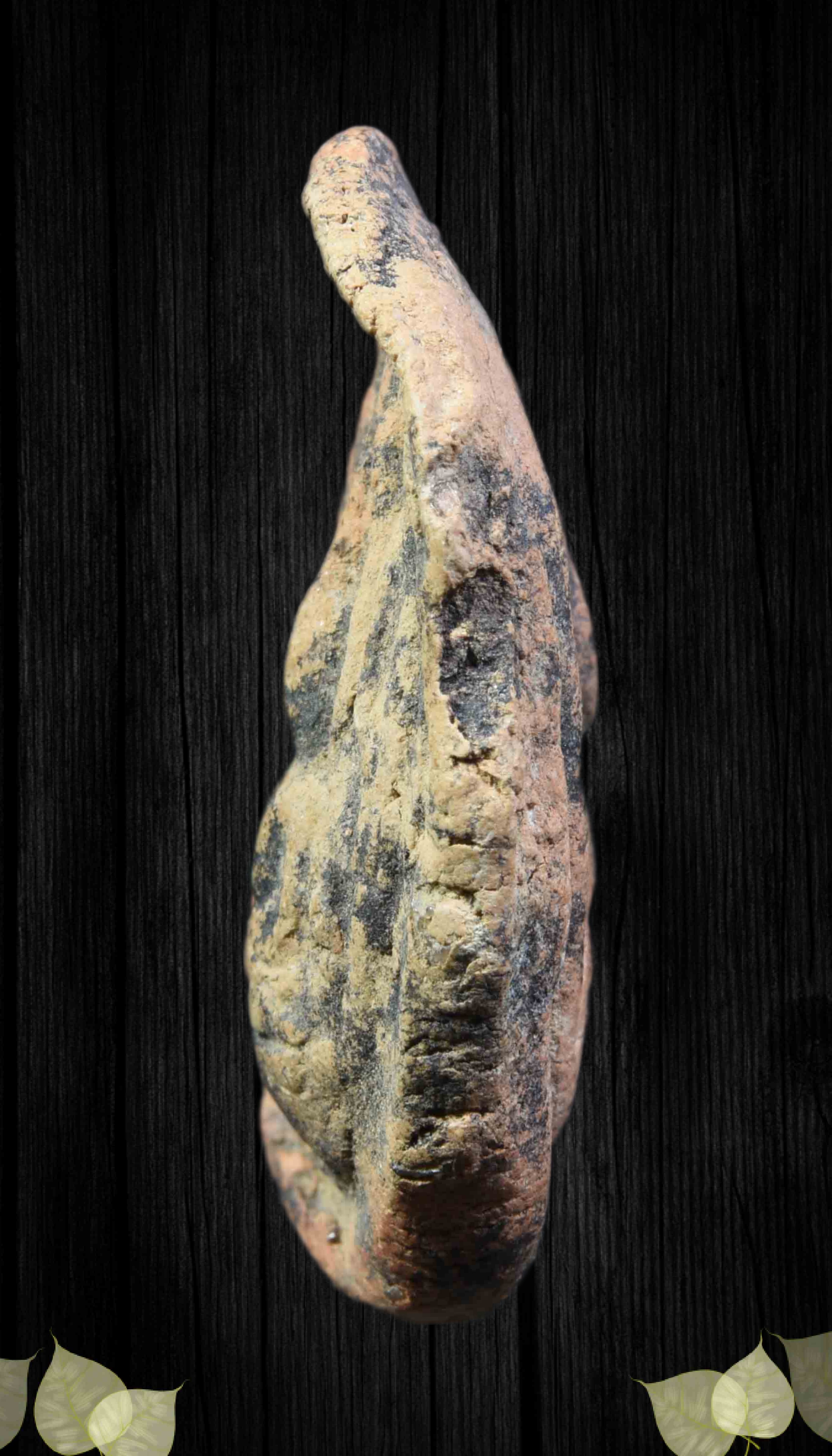 พระจุฬามณี หน้านาง-หลังนาง