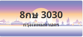 ป้ายประมูล 8กษ 3030