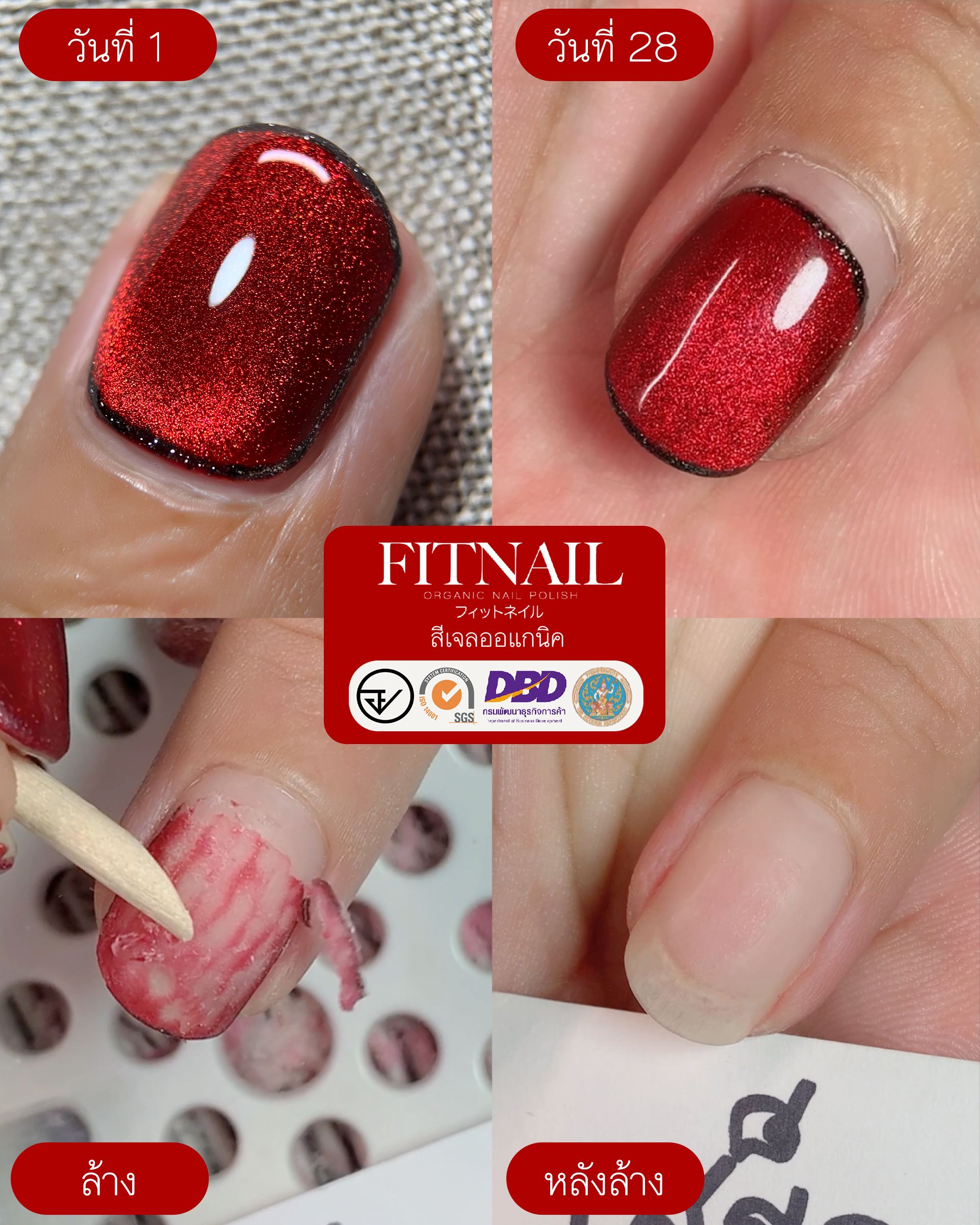 ทดสอบทาล้างต่อเนื่อง