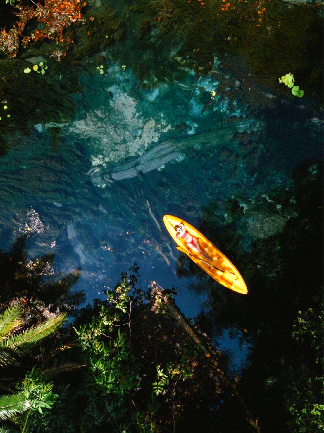 อันดับ 1 เที่ยวกระบี่ พายเรือคายัค คลองน้ำใส ขับ ATV เต็มวัน