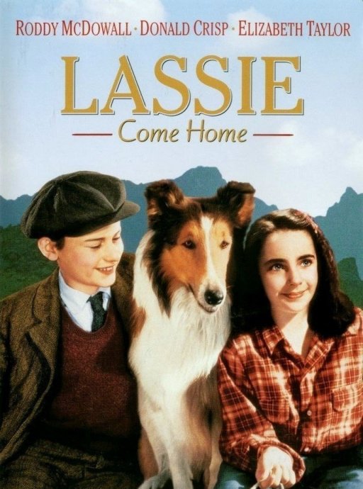 Elizabeth Taylor 's Lassie Come Home : แลซซี่ คัมโฮม [1943] - เสียงอังกฤษ / บรรยายไทย