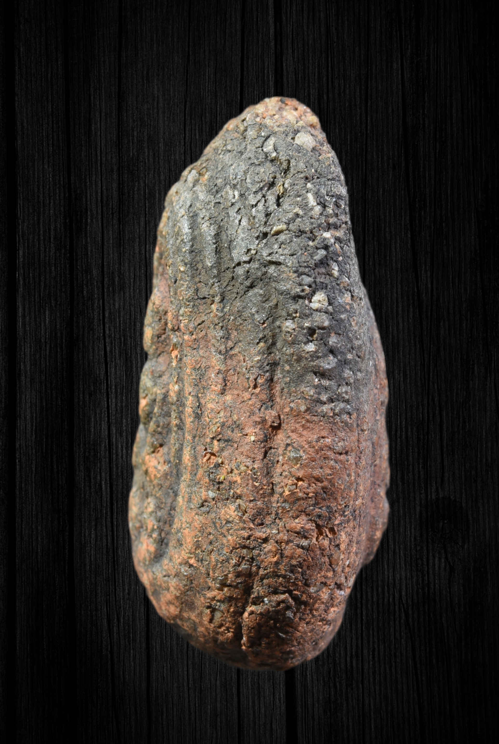 พระจุฬามณี หน้าฤๅษี-หลังนาง