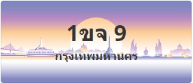 ป้ายประมูล1ขจ 9