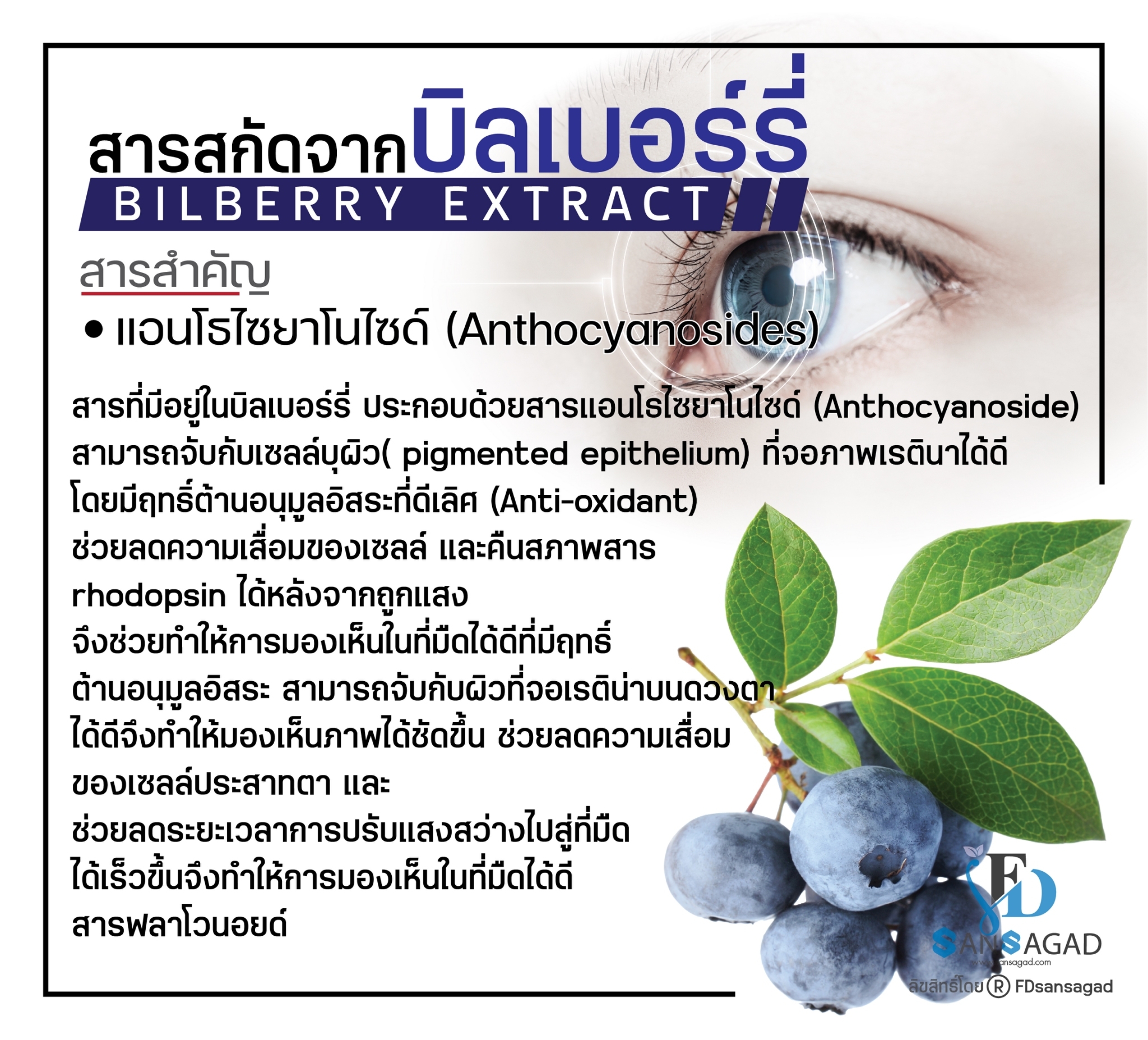 รับผลิตอาหารเสริมบำรุงสายตา