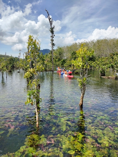 อันดับ 1 เที่ยวกระบี่ พายเรือคายัค คลองน้ำใส ขับ ATV เต็มวัน