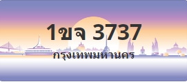 ป้ายประมูล 1ขจ 3737