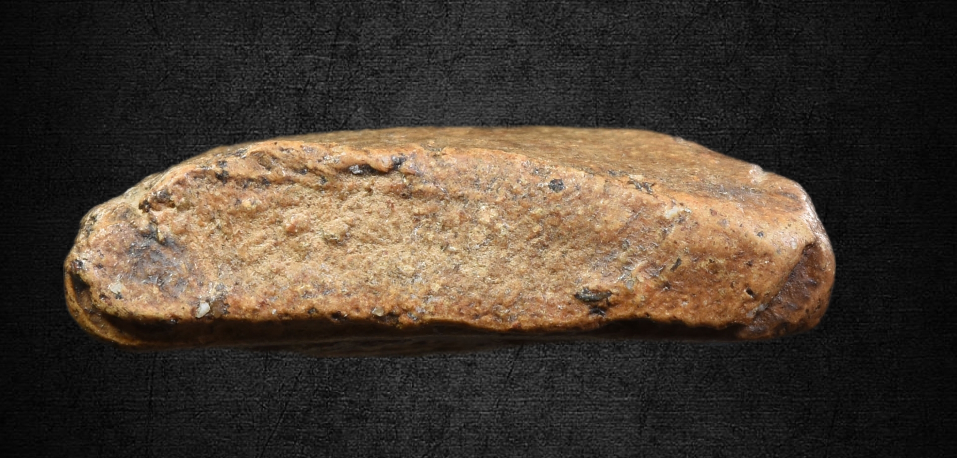 พระยอดขุนพล พระเยา พิมพ์นกปลา