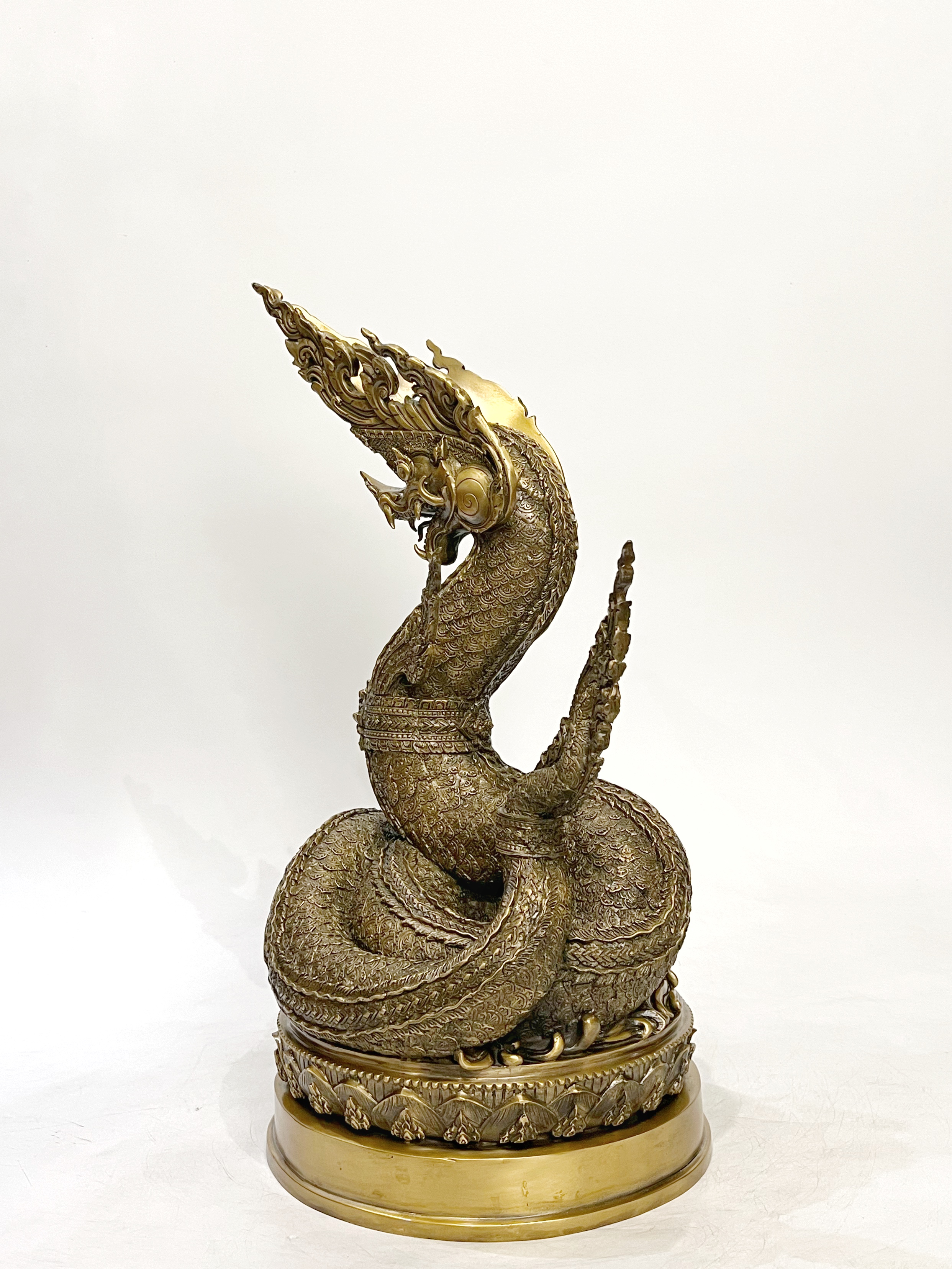 พญานาคราชทรัพย์อนันต์ พญานาค 1 เศียร