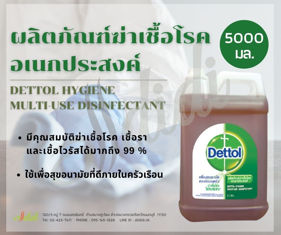 Dettol Hygiene Multi-Use Disinfectant