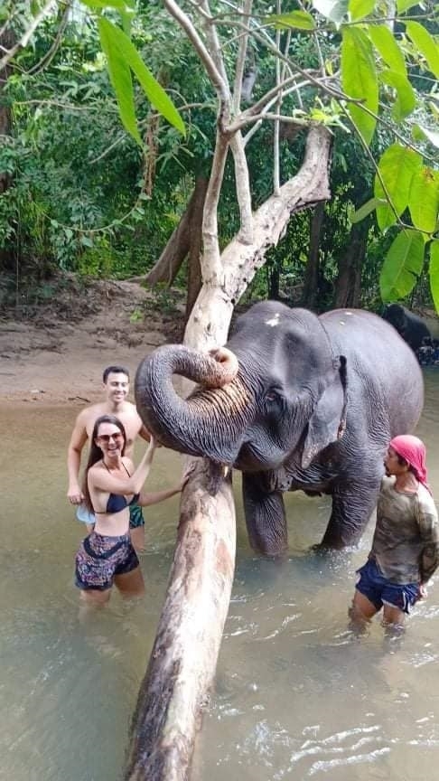 อันดับ 1 ทัวร์ขี่ช้าง กระบี่ ทัวร์นั่งช้างกระบี่