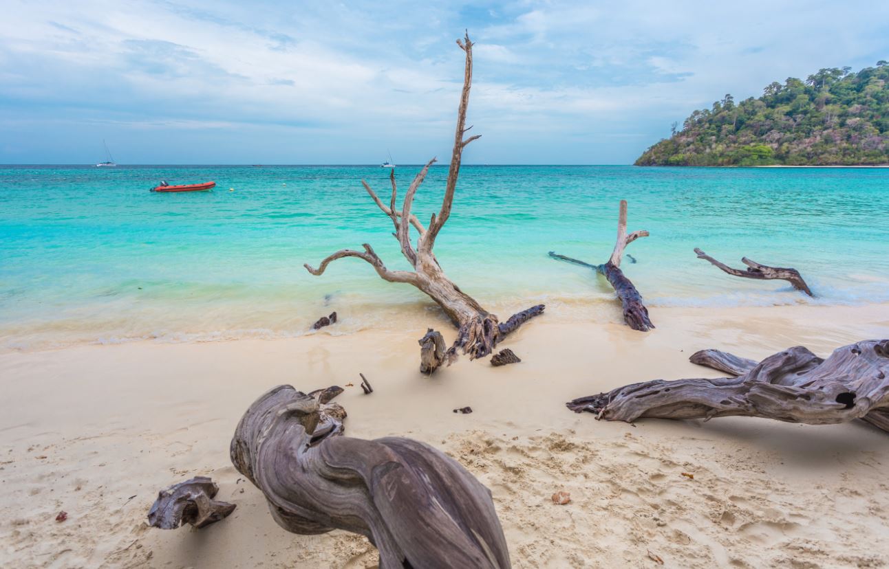 อันดับ 1 เที่ยวกระบี่ เกาะรอก เกาะห้า