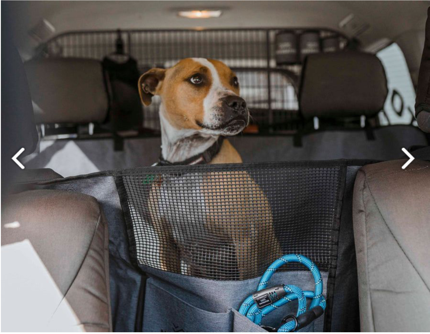 Navigator Dog Seat Buddy เบาะรองนั่งบนรถสำหรับสัตว์เลี้ยง