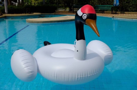 ห่วงยางนกกระเรียน คอดำ Inflatable Black Neck Cran Float