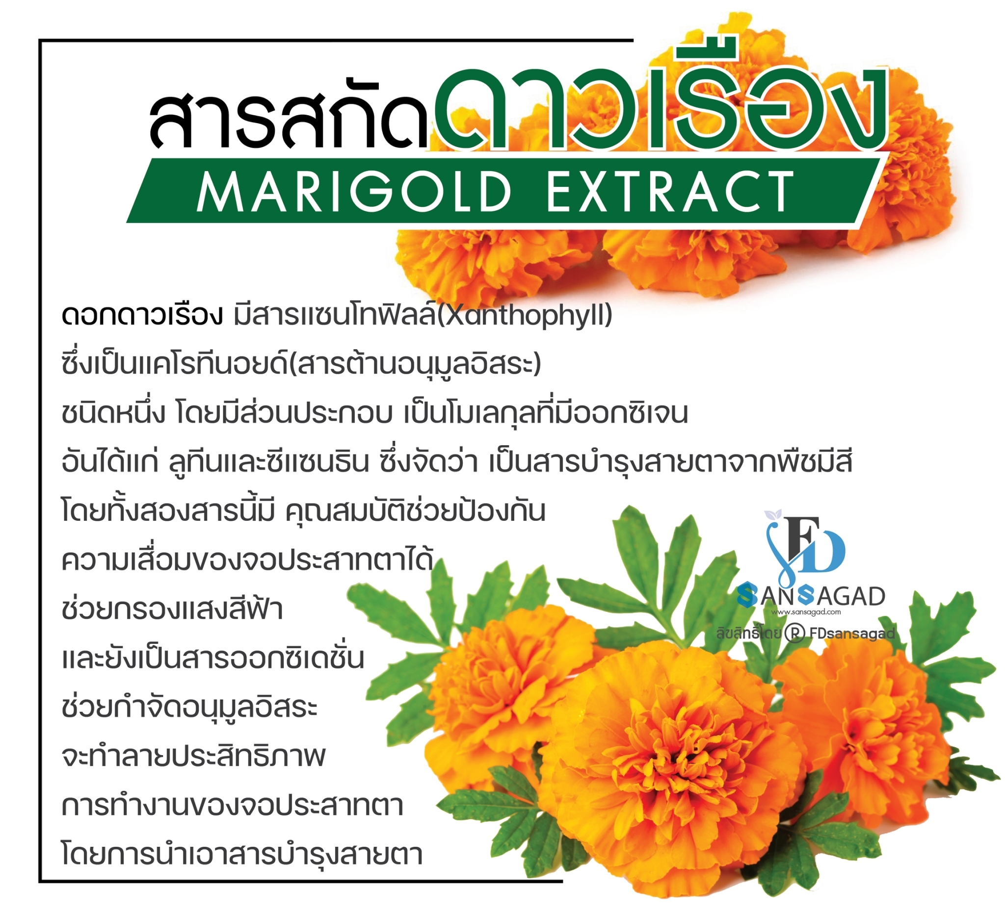 รับผลิตอาหารเสริมบำรุงสายตา