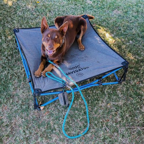 Navigator Dog Bed ที่นอนสำหรับสัตว์เลี้ยง