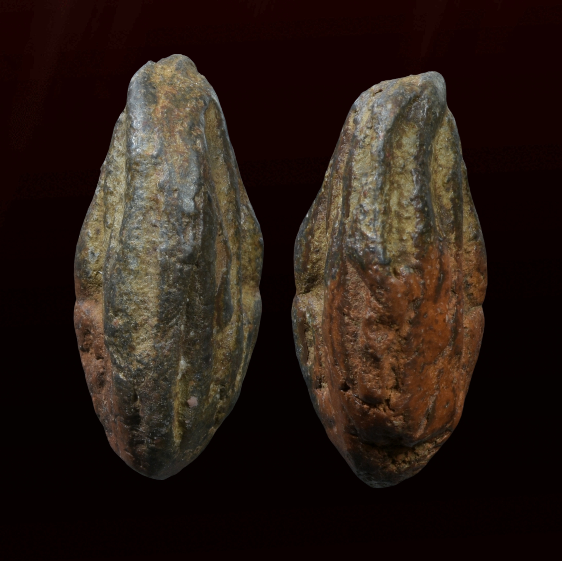 พระจุฬามณี หน้านาง-หลังนาง