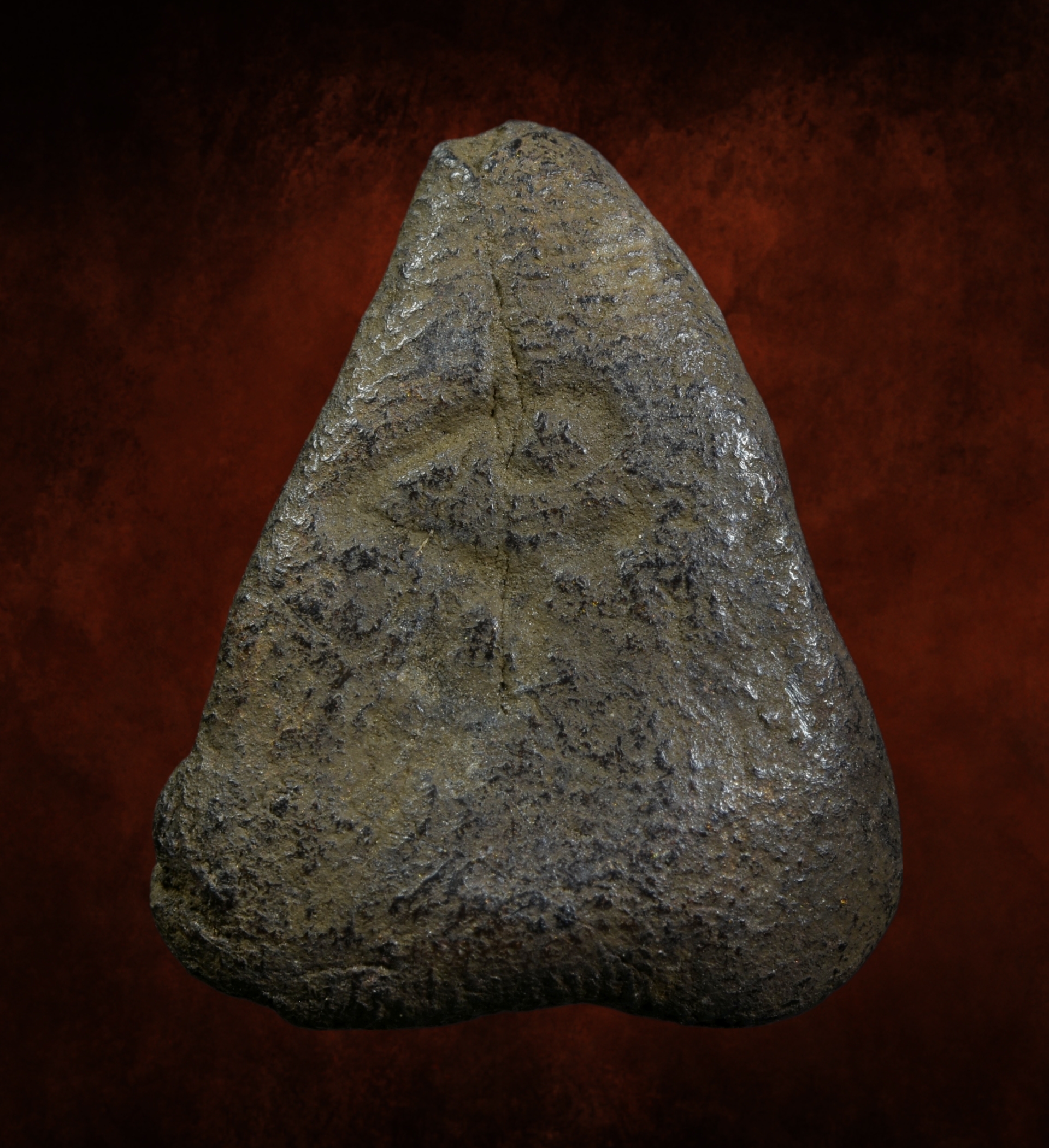 พระหลวงปู่ศุข พิมพ์แจกแม่ครัว