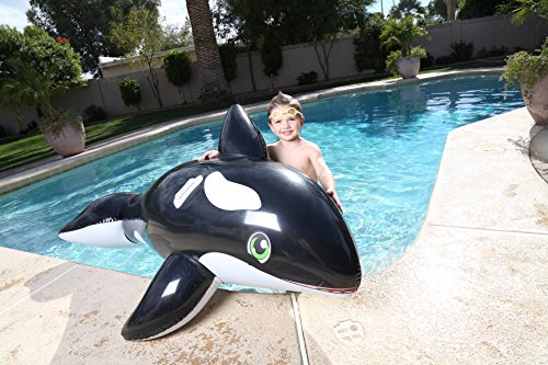 ห่วงยางปลาโลมา สีดำ สำหรับเด็ก Inflatable Black Whale Pool Float