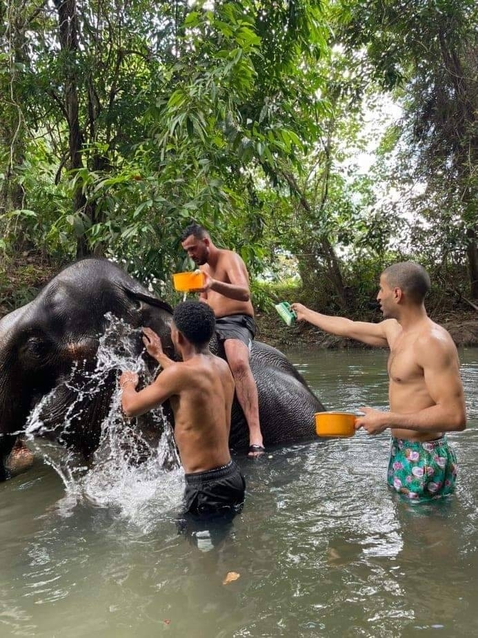 อันดับ 1 ทัวร์ขี่ช้าง กระบี่ ทัวร์นั่งช้างกระบี่
