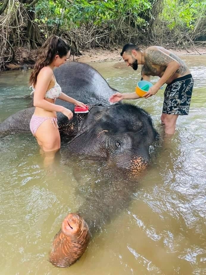 อันดับ 1 ทัวร์ขี่ช้าง กระบี่ ทัวร์นั่งช้างกระบี่