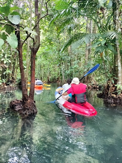 อันดับ 1 เที่ยวกระบี่ พายเรือคายัค คลองน้ำใส ขับ ATV เต็มวัน