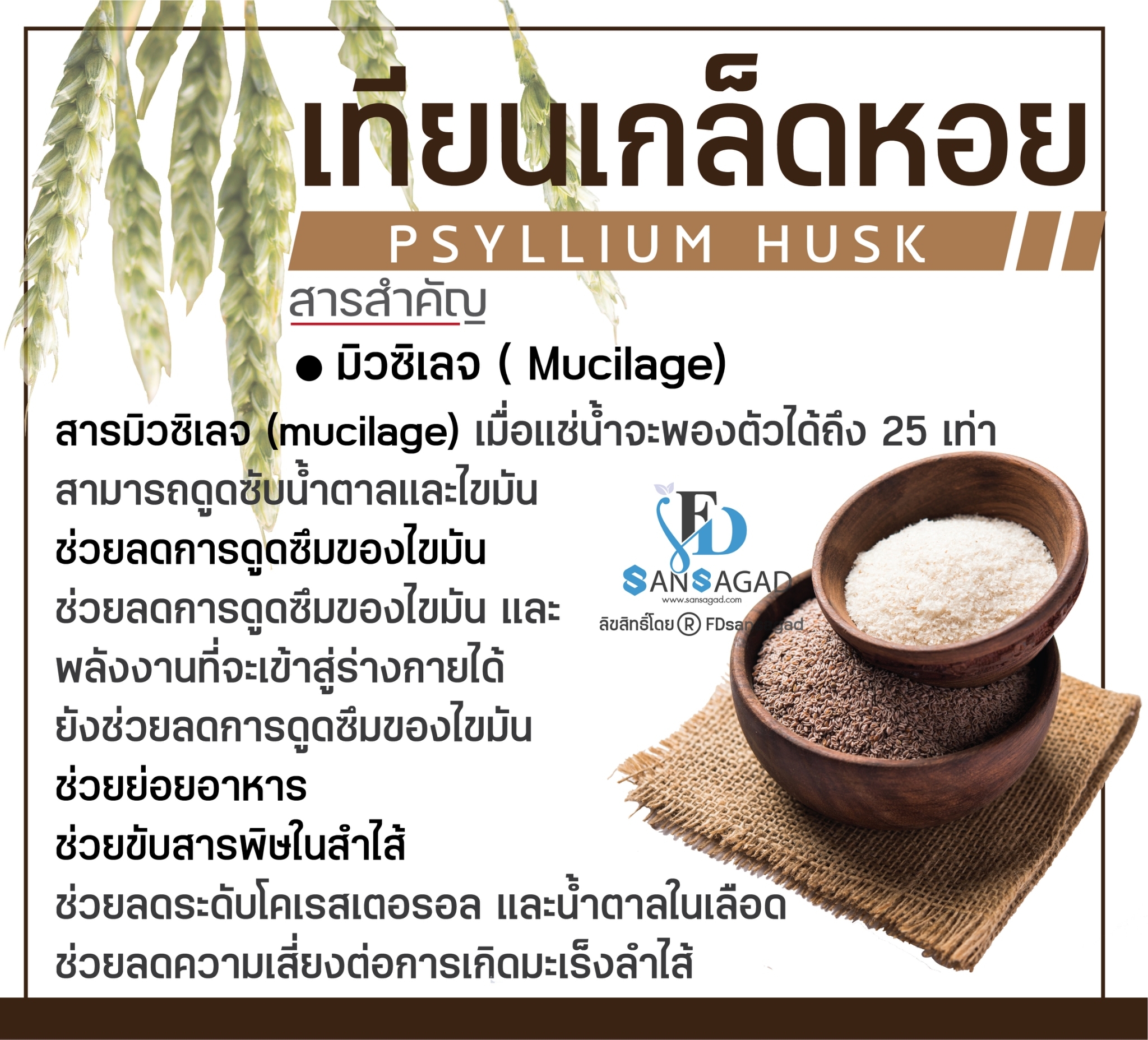 รับผลิตอาหารเสริมช่วยระบบขับถ่าย