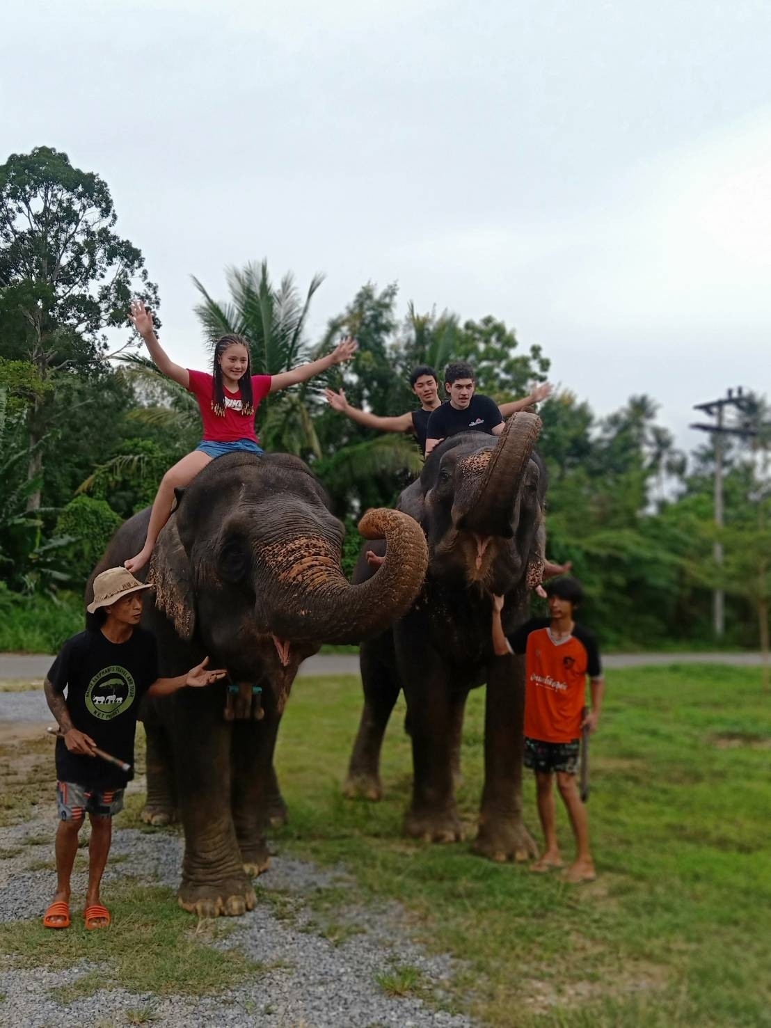 อันดับ 1 ทัวร์ขี่ช้าง กระบี่ ทัวร์นั่งช้างกระบี่