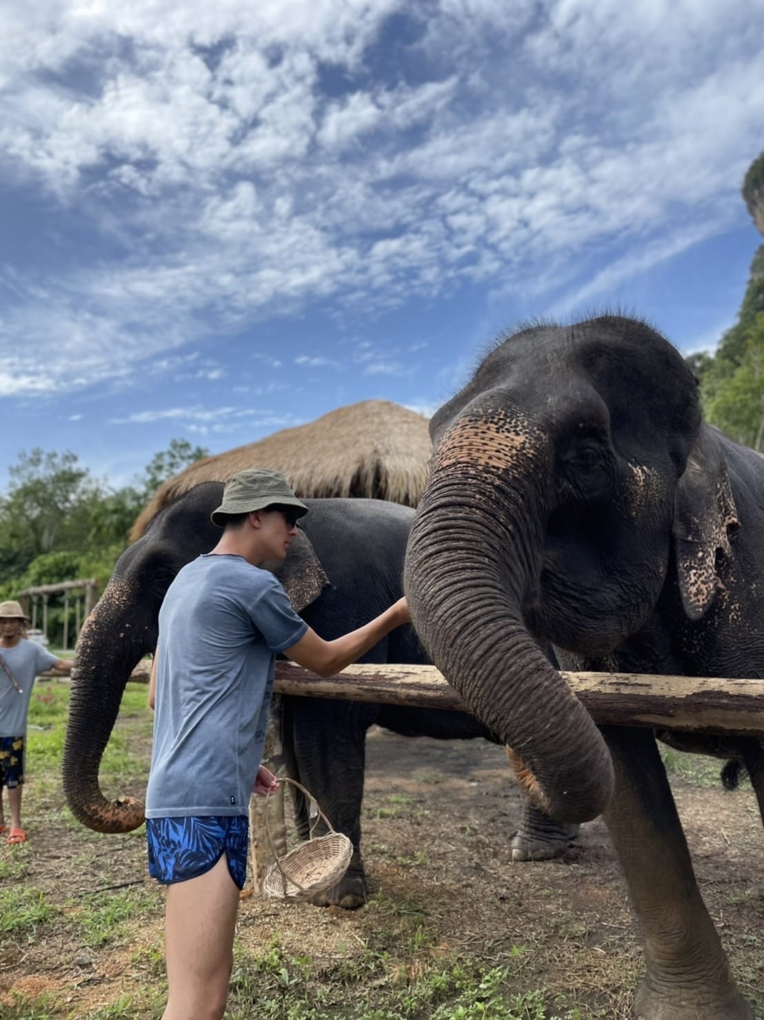 อันดับ 1 ทัวร์ขี่ช้าง กระบี่ ทัวร์นั่งช้างกระบี่