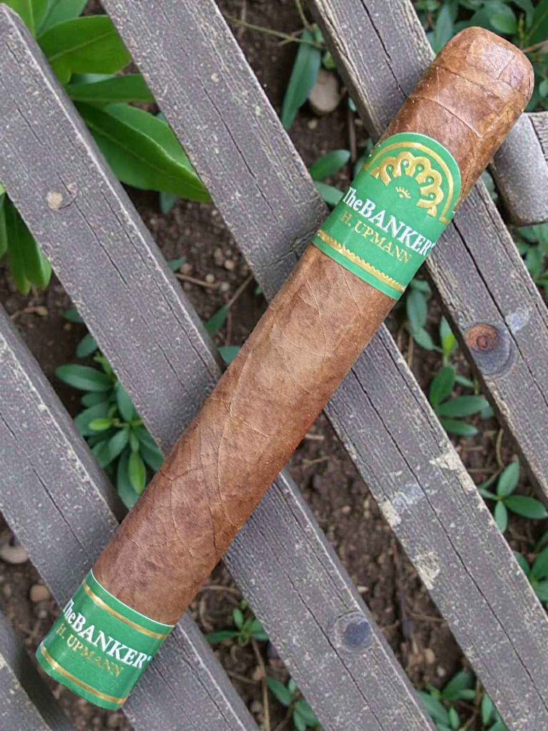 H. Upmann The Banker Annuity *6x52"