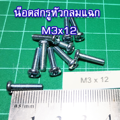 10 x น็อตสกรูหัวกลมแฉก M3x12